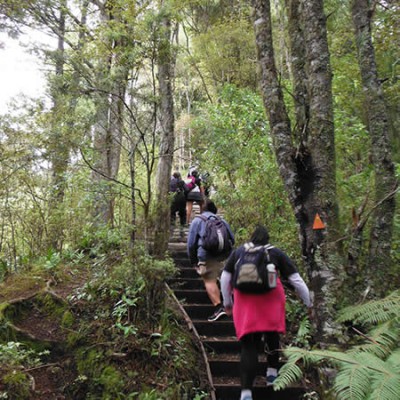 Tramping 1